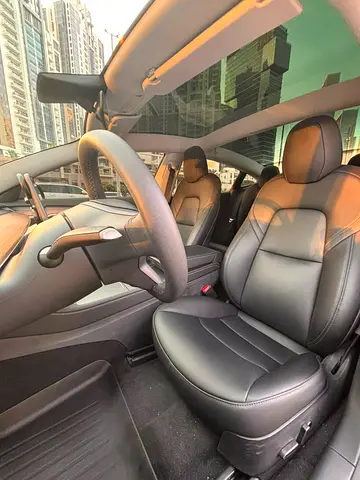 2023 Tesla MODEL 3 缩略图 13