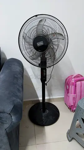 Fan