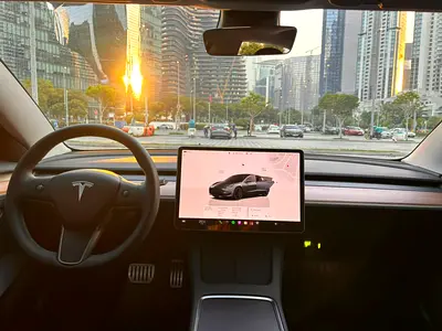 2023 Tesla MODEL 3 缩略图 17