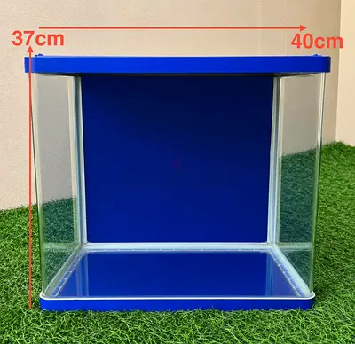 Fish aquarium box