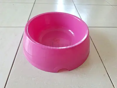 FOOD/WATER BOWL