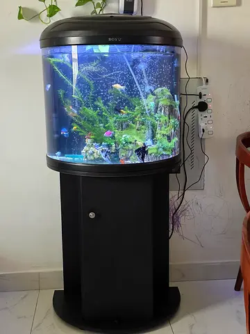 Aquarium