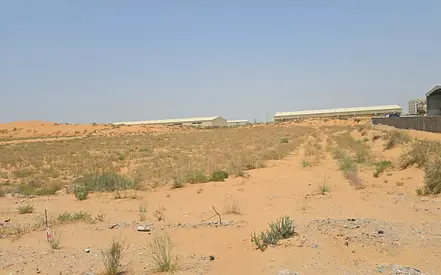 93500 Sqft Industrial Land for Long Lease In Al Sajaa Sharjah