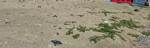 Residential land for sale / On a wide street / Price negotiable / On Jeddah Street and Al Hamriya Ro