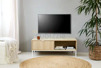 Modern TV Cabinet with 2 Storage Drawers
