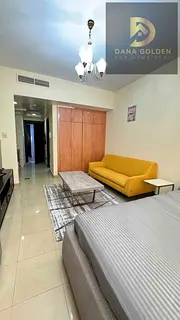 Welcome to Dana Golden Hoodie Homes Real Estate LLC Payment Details:2898 Apartment Details studio