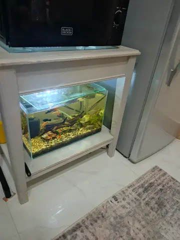 Fish tank with Table , fishes and all accessories