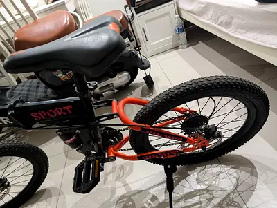 Young Kids Bicycle