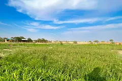 √ 27,871 SQM Farm Land in an Excellent Location √