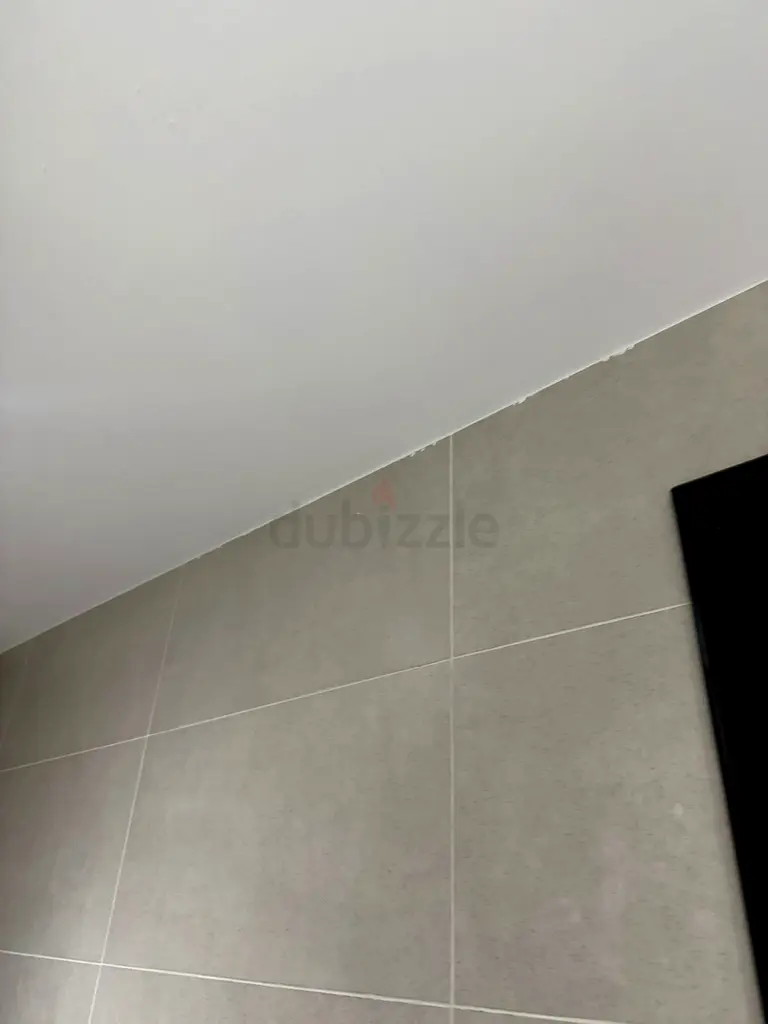 DPV_View_Image_1