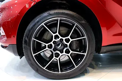 2021 Aston Martin DBX 照片 16