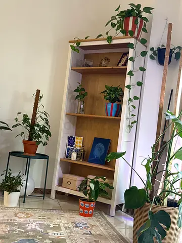 Ikea hemnes cabinet with shelves