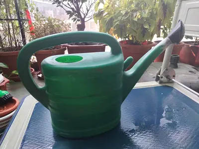 MOVING OUT SALE: Green Plastic Watering Can - 5L (Good Condition)