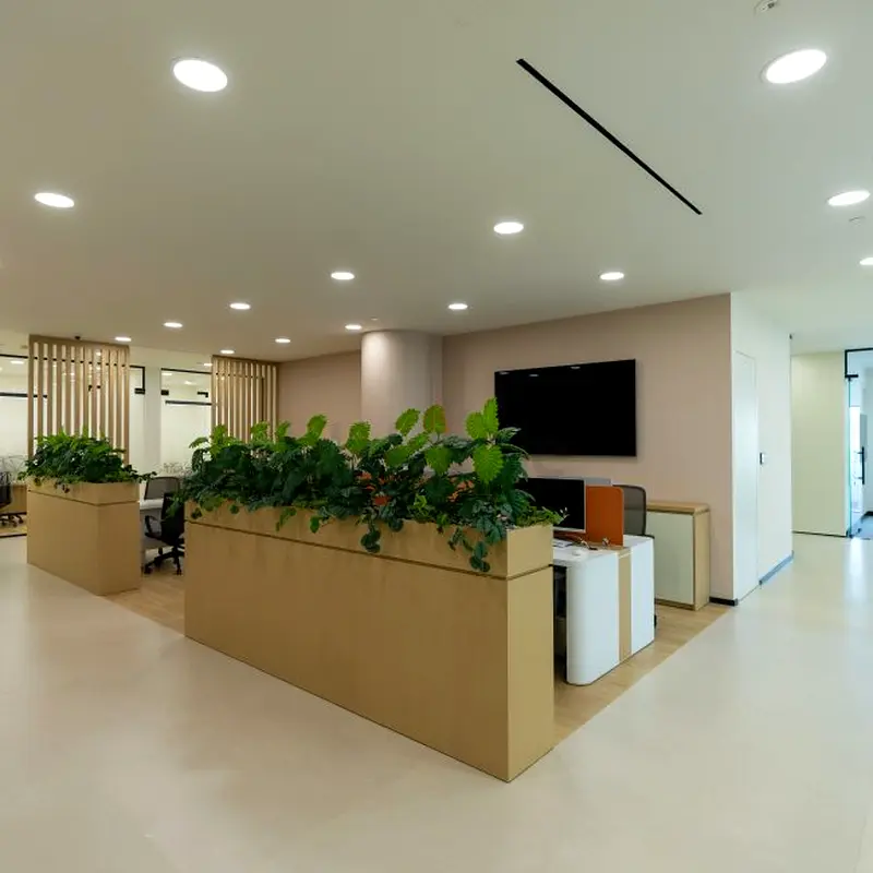 DPV_View_Image_1