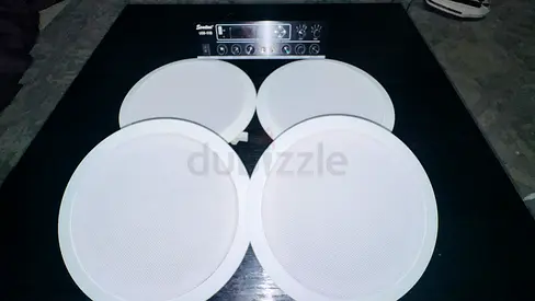 Bluetooth Speakers with Amplifier (Ceiling)