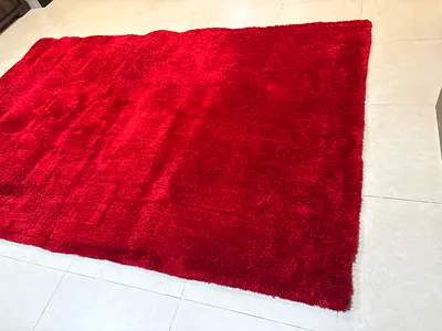 Red Shaggy Area Rug - Good Condition