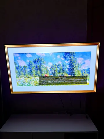 LG GX55 55inch tv OLED 4K tv