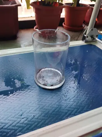 MOVING OUT SALE: Clear glass container / jar (single piece)