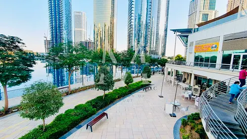 LAKE VIEW | BEAUTIFUL | NEAR METRO | FURNISHED | BRIGHT