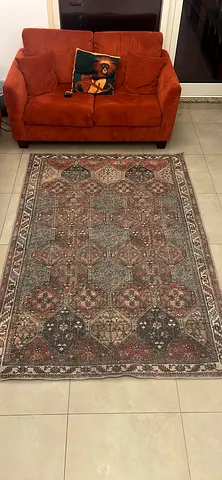 Used traditional patterned area rug - medium size, No bile , good condition
