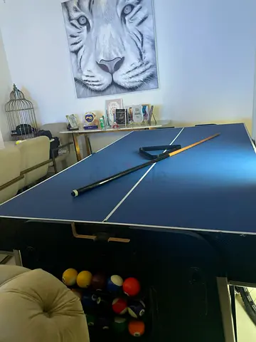 Billiards table with ping pong indoor sport