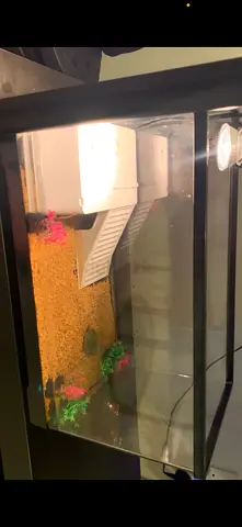 Medium glass fish aquarium with lamp, gravel and decor - used