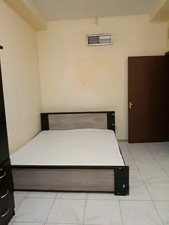 Room available for vegetarian bachelor or family