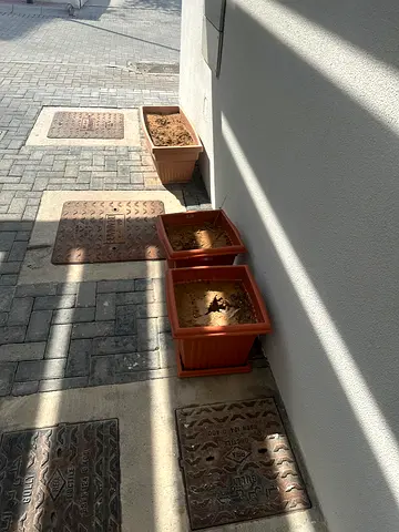Pot