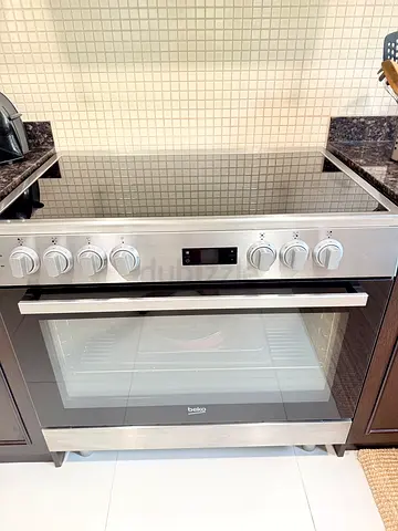 Electric oven cooker