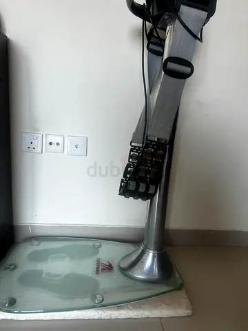 Whole Body Vibration Massager Machine