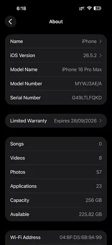 16 pro max