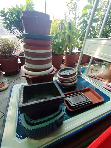 MOVING OUT SALE: Assorted plastic  ceramic plant pots and trays