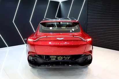 2021 Aston Martin DBX 照片 14