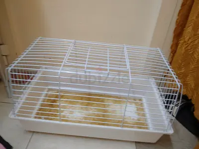 rabbit cage