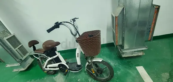 stylish HIMO Electric Bike