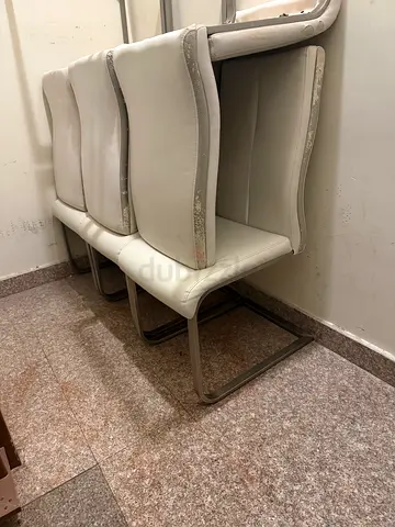 Dining Chairs