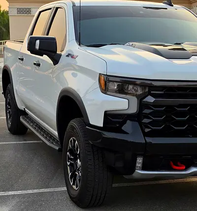 2024 Chevrolet SILVERADO 1500 缩略图 11