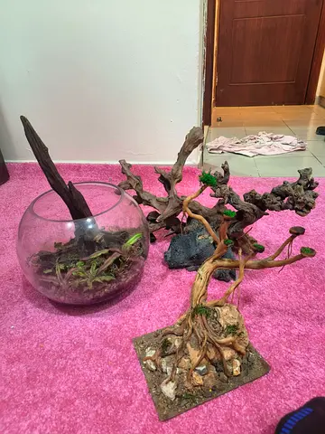 Aquarium driftwood and planted decor pieces for fish tank all for 300