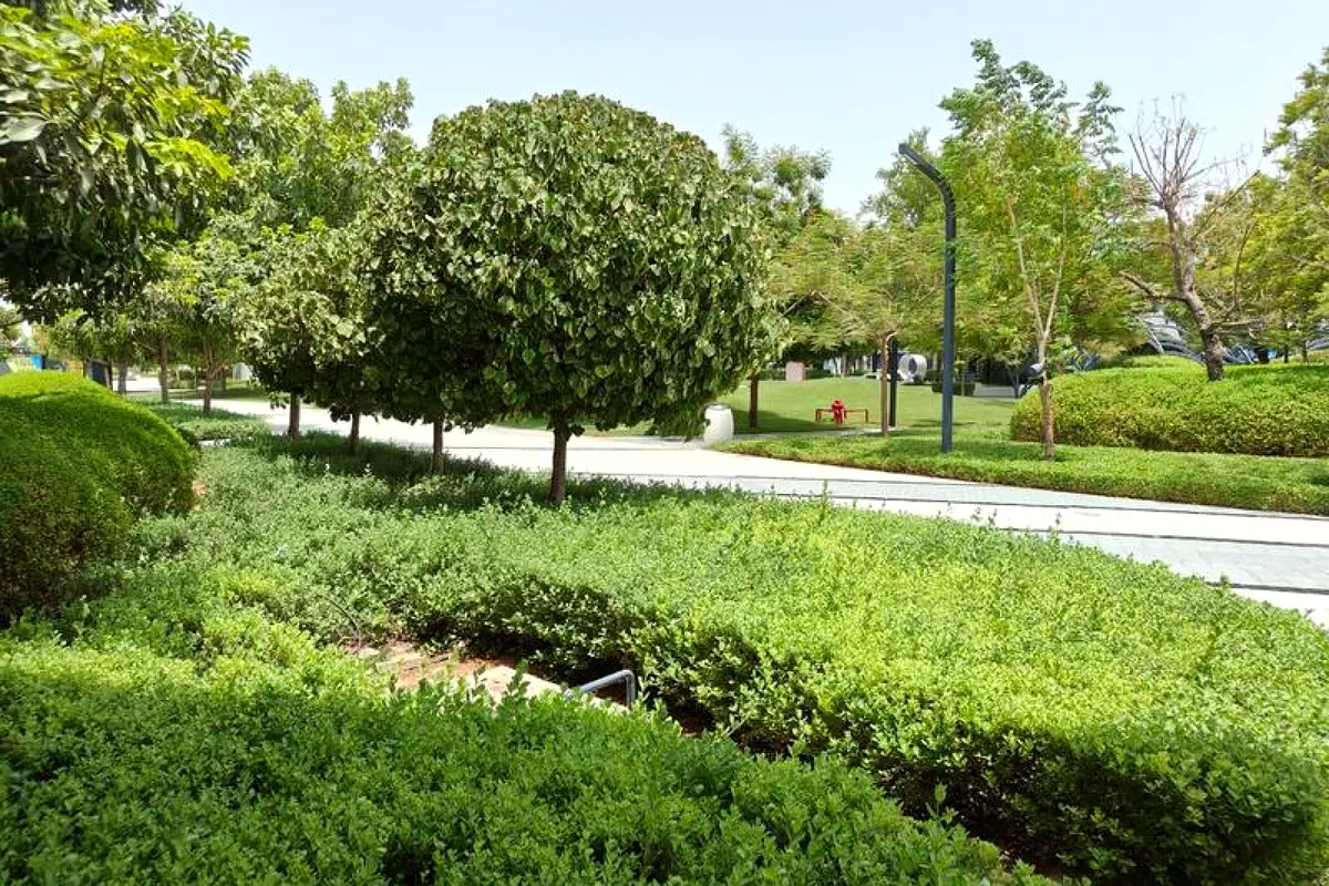 gallery-image
