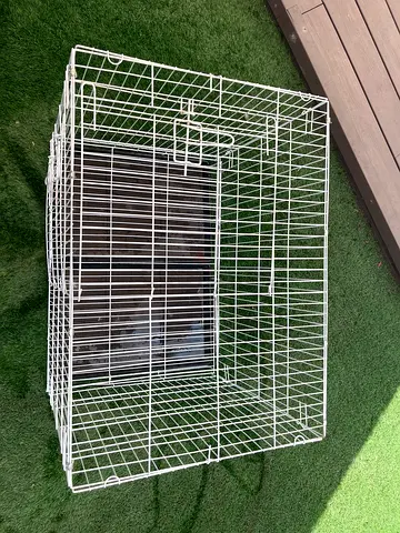 Dog cage for mini dogs