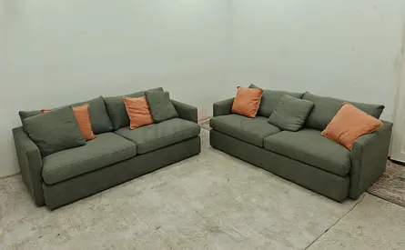 Crate and Barrel Authentic 2 piece sofa