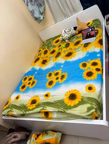 QUEEN SIZED BED