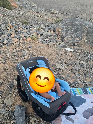 Infant Car Seat (Rear-Facing) - Good Condition