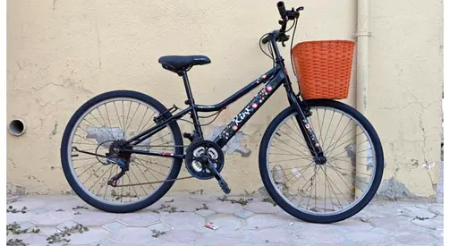 Cruiser bike size 24 Japan import Free delivery refurbished 100% working with basket and soft seat