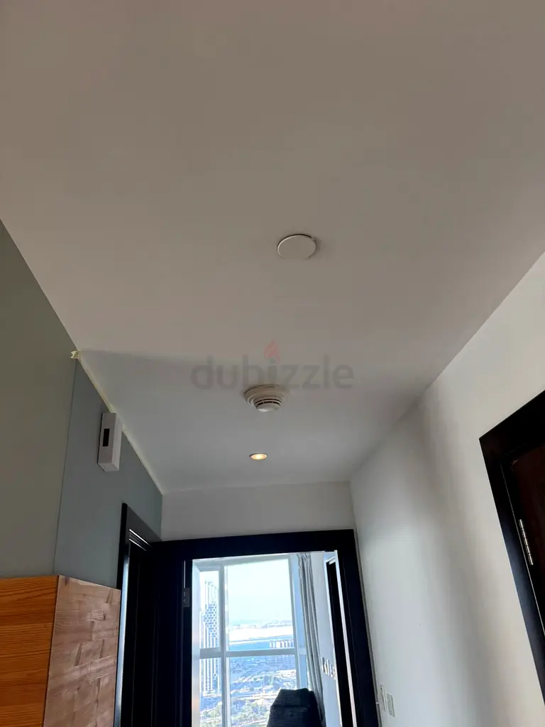 DPV_View_Image_2