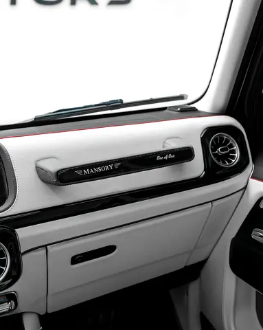 2025 Mercedes-BENZ G-CLASS 缩略图 16