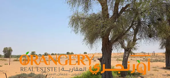 Residential/agricultural land for sale in Umm Al Quwain - Falaj Al Mualla