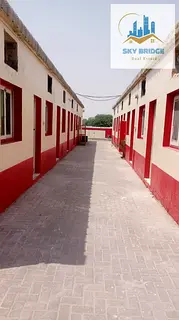 Hot Deal Labor Camp for Rent in Sajja Industrial Area