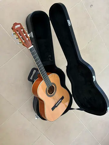 Steiner classic Guitar (negotiations available)