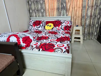 Modern King Bed Frame and Mattress